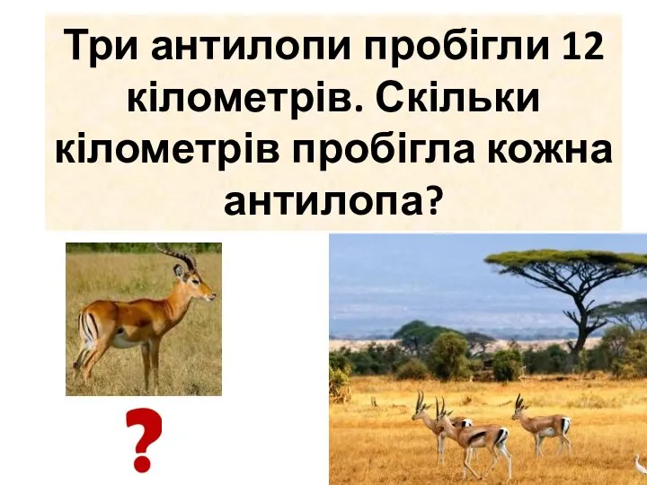 Три антилопи пробігли 12 кілометрів. Скільки кілометрів пробігла кожна антилопа?