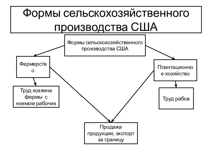 Формы сельскохозяйственного производства США Труд рабов Труд хозяина фермы с ноемом