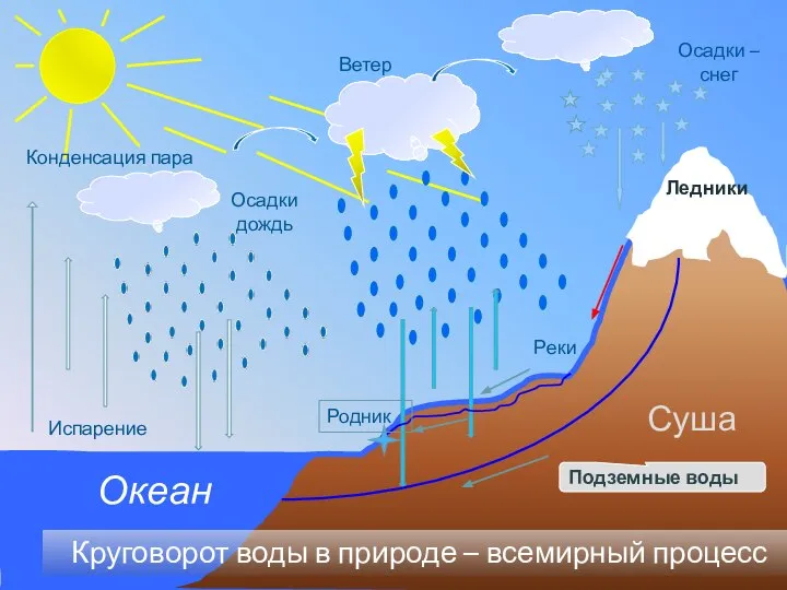 Испарение Конденсация пара Осадкидождь Осадки – снег Ветер Круговорот воды в