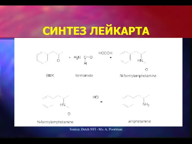 Source: Dutch NFI - Ms. A. Poortman СИНТЕЗ ЛЕЙКАРТА