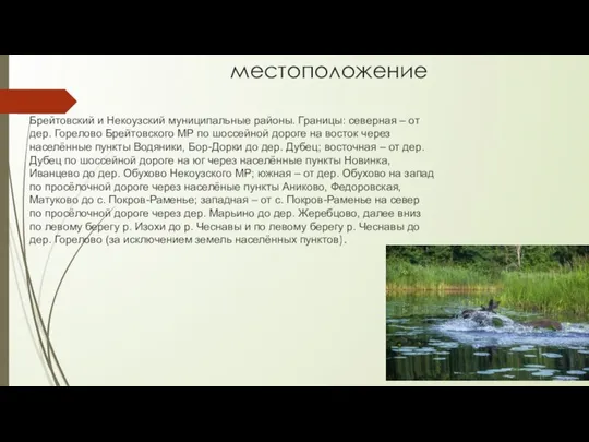 местоположение Брейтовский и Некоузский муниципальные районы. Границы: северная – от дер.