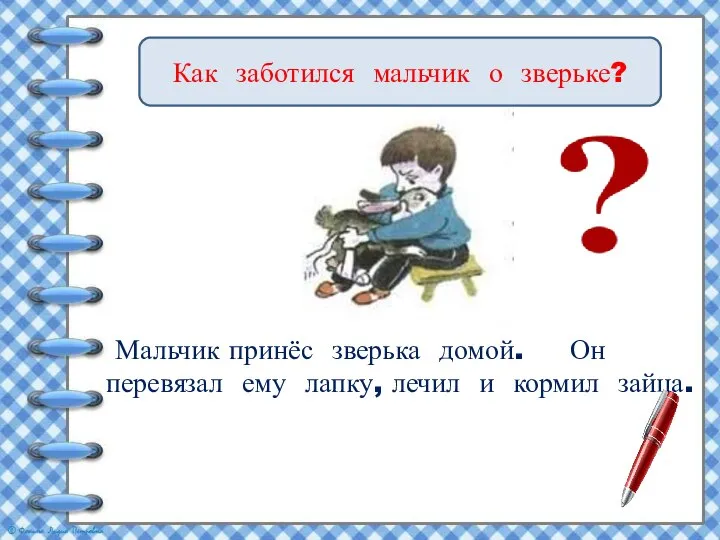 Как заботился мальчик о зверьке? Мальчик принёс зверька домой. Он перевязал