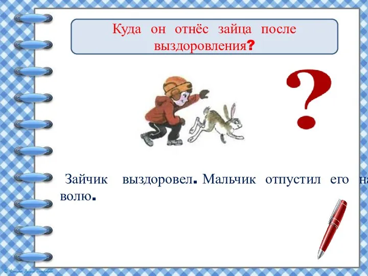 Куда он отнёс зайца после выздоровления? Зайчик выздоровел. Мальчик отпустил его на волю.