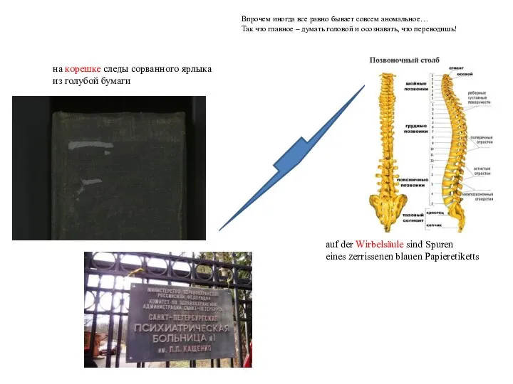 на корешке следы сорванного ярлыка из голубой бумаги auf der Wirbelsäule