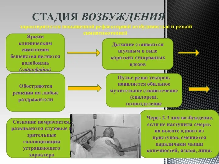 СТАДИЯ ВОЗБУЖДЕНИЯ характеризуется повышенной рефлекторной возбудимостью и резкой симпатикотонией Ярким клиническим