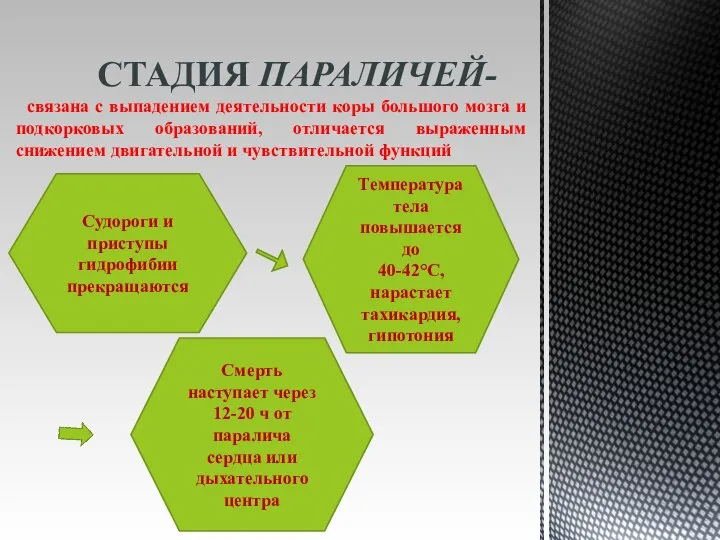 СТАДИЯ ПАРАЛИЧЕЙ- связана с выпадением деятельности коры большого мозга и подкорковых