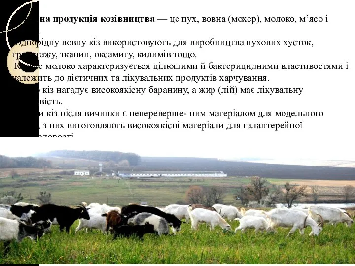 Основна продукція козівництва — це пух, вовна (мохер), молоко, м’ясо і