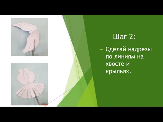 Шаг 2: Сделай надрезы по линиям на хвосте и крыльях.