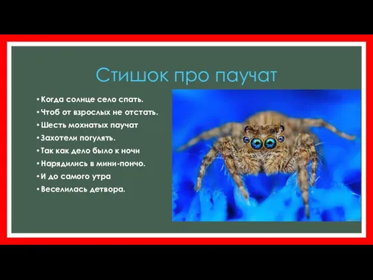 Стишок про паучат Когда солнце село спать. Чтоб от взрослых не