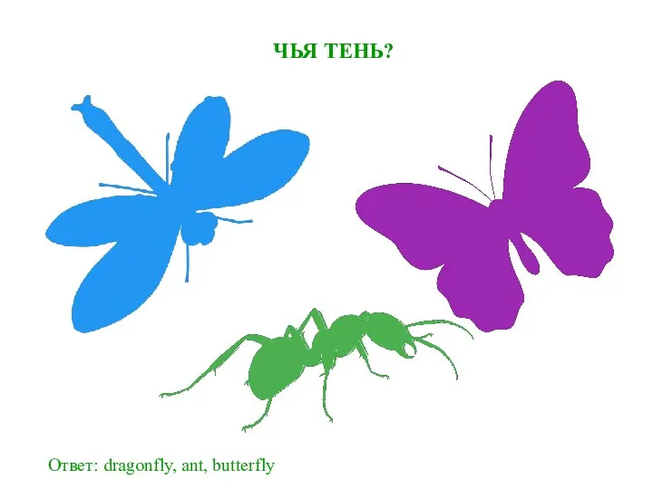 ЧЬЯ ТЕНЬ? Ответ: dragonfly, ant, butterfly