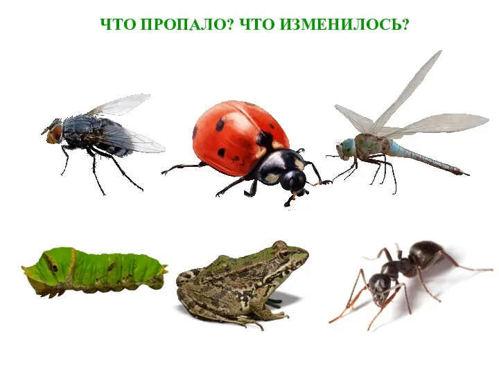 ЧТО ПРОПАЛО? ЧТО ИЗМЕНИЛОСЬ?