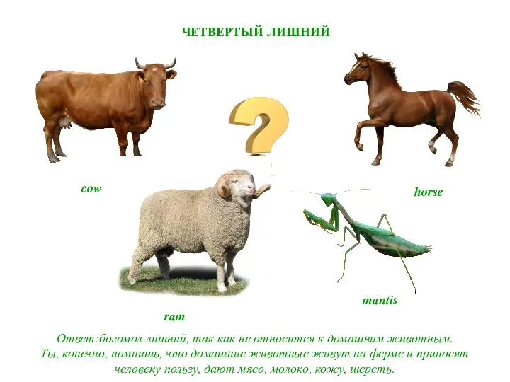 ЧЕТВЕРТЫЙ ЛИШНИЙ Ответ:богомол лишний, так как не относится к домашним животным.