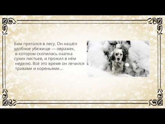 Бим прятался в лесу. Он нашёл удобное убежище — овражек, в