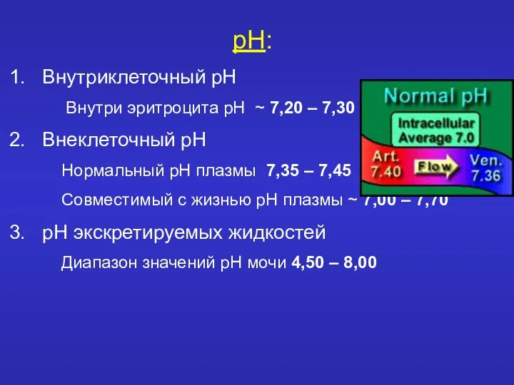 рН: 1. Внутриклеточный рН Внутри эритроцита рН ~ 7,20 – 7,30