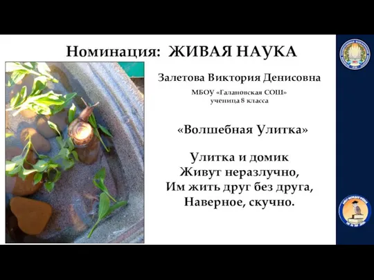 «Волшебная Улитка» Залетова Виктория Денисовна МБОУ «Галановская СОШ» ученица 8 класса