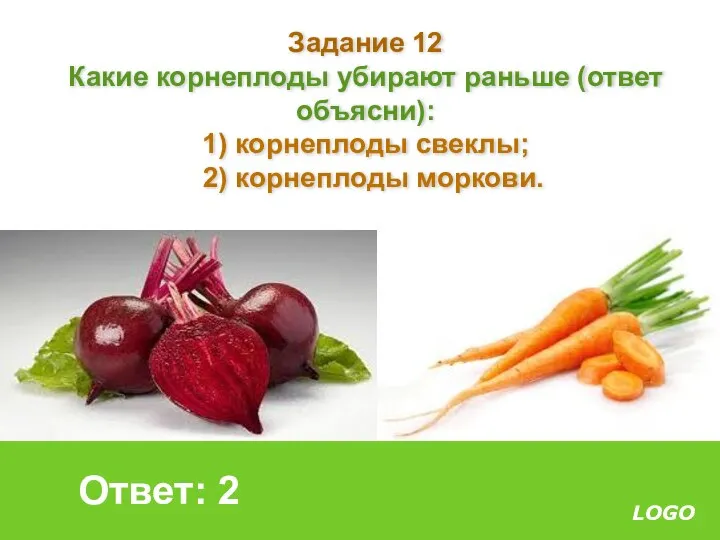 Задание 12 Какие корнеплоды убирают раньше (ответ объясни): 1) корнеплоды свеклы; 2) корнеплоды моркови. Ответ: 2