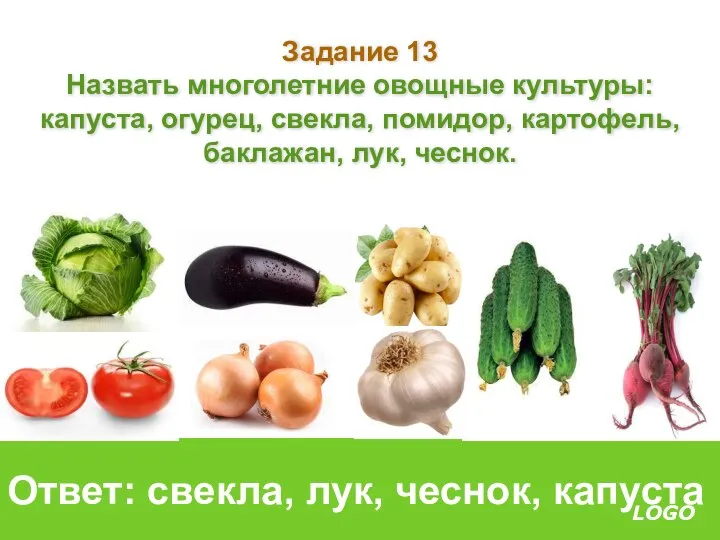 Задание 13 Назвать многолетние овощные культуры: капуста, огурец, свекла, помидор, картофель,
