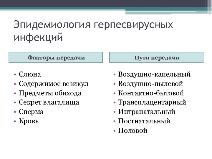 Эпидемиология герпесвирусных инфекций Факторы передачи Пути передачи Слюна Содержимое везикул Предметы