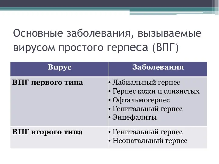 Основные заболевания, вызываемые вирусом простого герпеса (ВПГ)