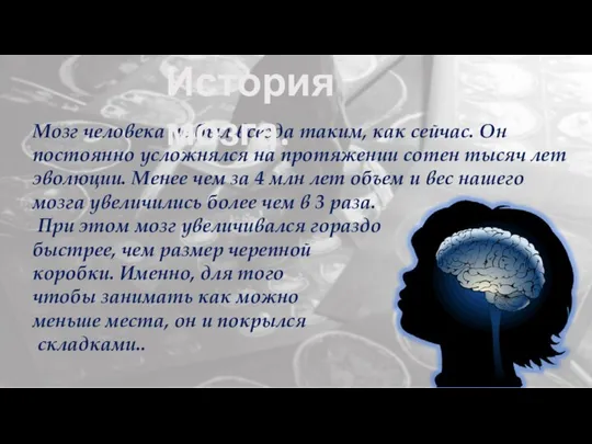 Мозг человека не был всегда таким, как сейчас. Он постоянно усложнялся