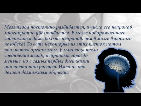 Мозг плода постоянно развивается, и число его нейронов многократно увеличивается. В