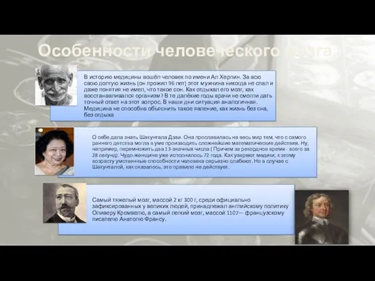 Особенности человеческого мозга.