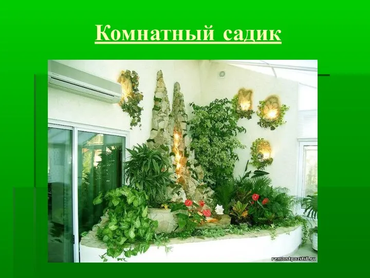 Комнатный садик