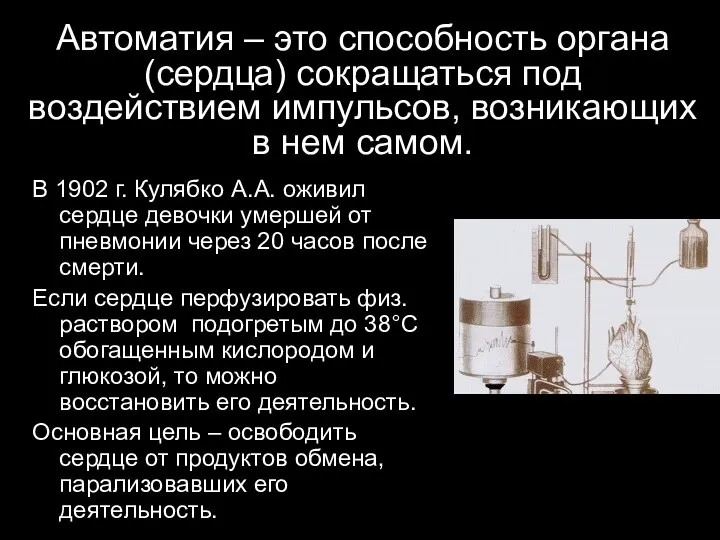 В 1902 г. Кулябко А.А. оживил сердце девочки умершей от пневмонии