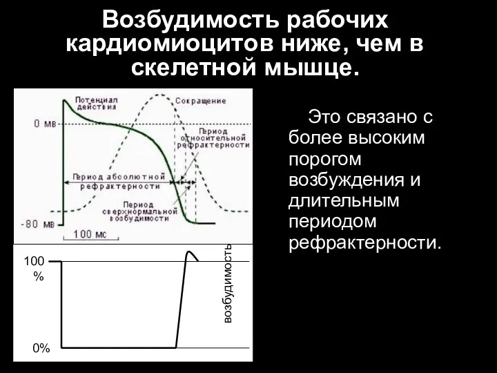 Это связано с более высоким порогом возбуждения и длительным периодом рефрактерности.