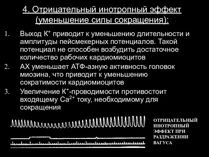 Выход К+ приводит к уменьшению длительности и амплитуды пейсмекерных потенциалов. Такой