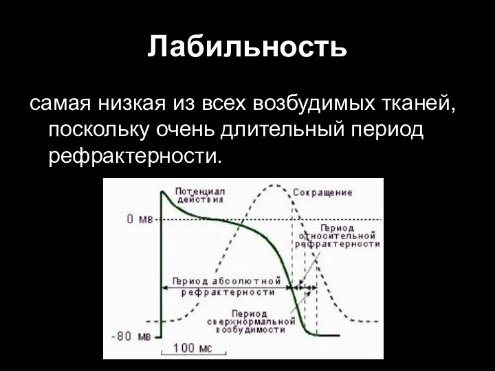 Лабильность самая низкая из всех возбудимых тканей, поскольку очень длительный период рефрактерности.