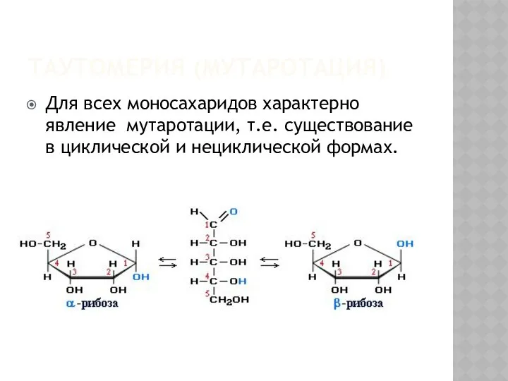 ТАУТОМЕРИЯ (МУТАРОТАЦИЯ) Для всех моносахаридов характерно явление мутаротации, т.е. существование в циклической и нециклической формах.