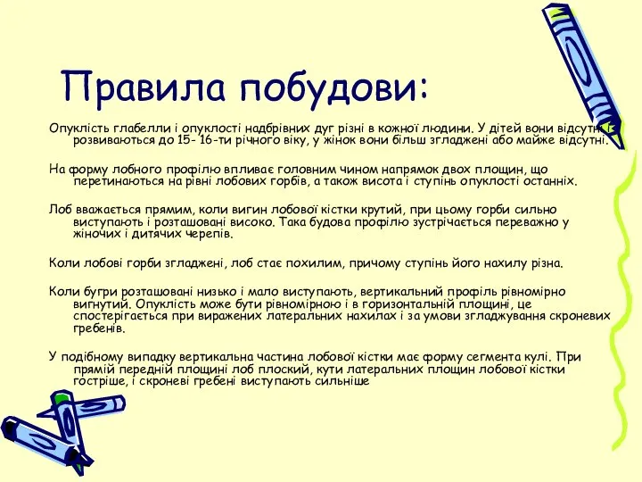 Правила побудови: Опуклість глабелли і опуклості надбрівних дуг різні в кожної