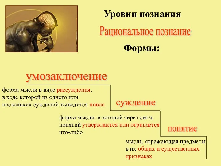 Уровни познания умозаключение понятие суждение Рациональное познание мысль, отражающая предметы в