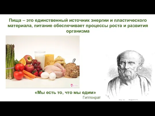 Гиппократ «Мы есть то, что мы едим» Пища – это единственный