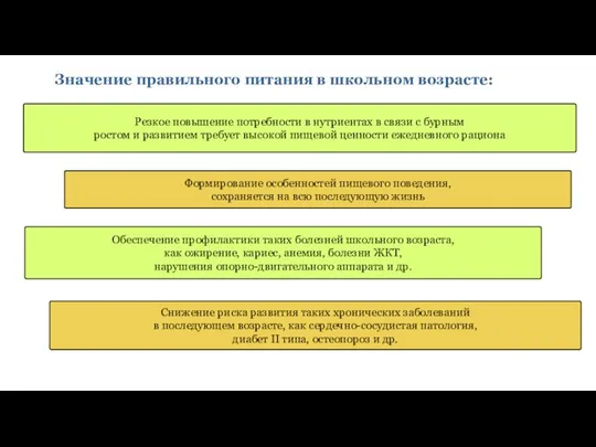 Значение правильного питания в школьном возрасте: Резкое повышение потребности в нутриентах