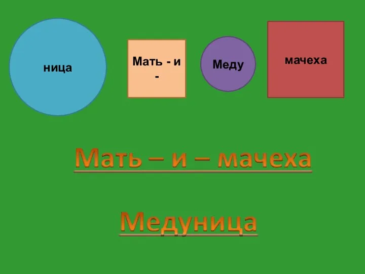 Мать - и - мачеха Меду ница