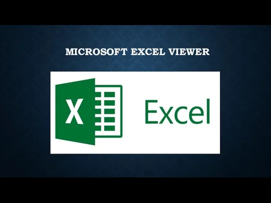 MICROSOFT EXCEL VIEWER