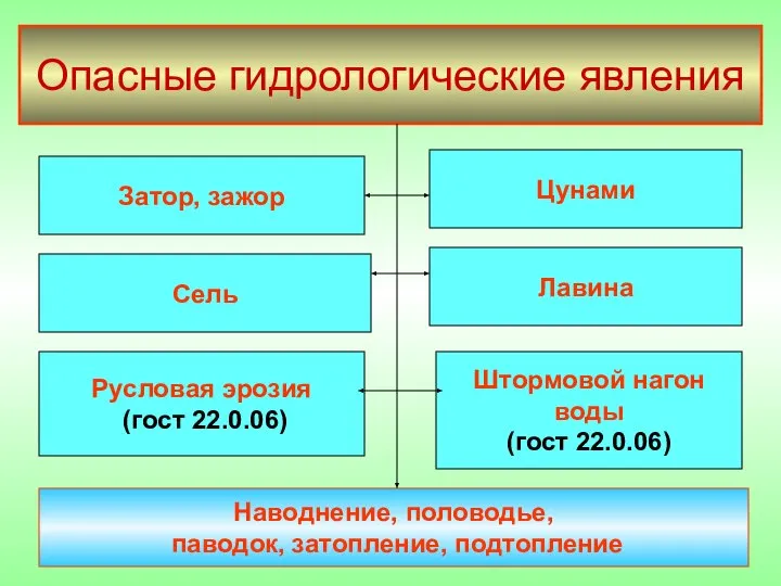 Опасные гидрологические явления Затор, зажор Сель Лавина Штормовой нагон воды (гост