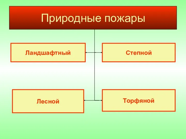 Природные пожары Ландшафтный Торфяной Степной Лесной