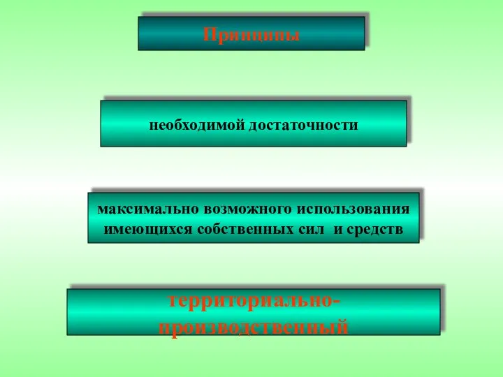 Принципы необходимой достаточности максимально возможного использования имеющихся собственных сил и средств территориально-производственный