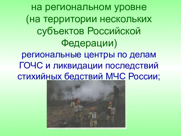 на региональном уровне (на территории нескольких субъектов Российской Федерации) региональные центры