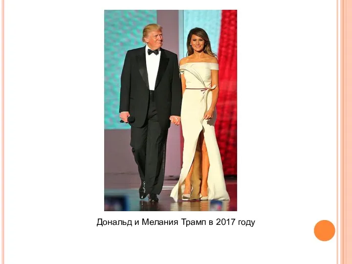 Дональд и Мелания Трамп в 2017 году