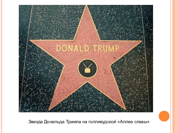 Звезда Дональда Трампа на голливудской «Аллее славы»