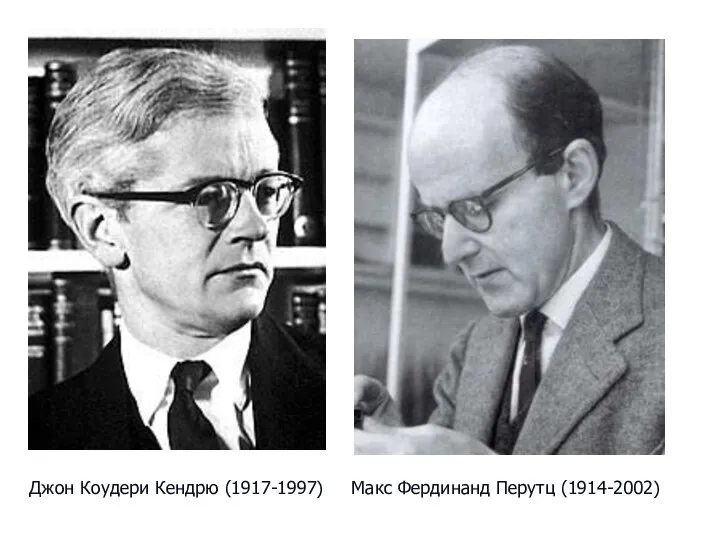 Джон Коудери Кендрю (1917-1997) Макс Фердинанд Перутц (1914-2002)