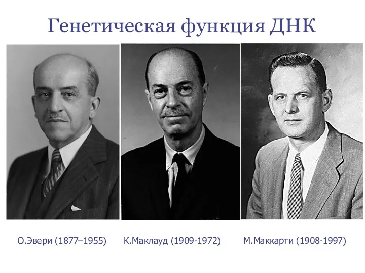 Генетическая функция ДНК О.Эвери (1877–1955) К.Маклауд (1909-1972) М.Маккарти (1908-1997)