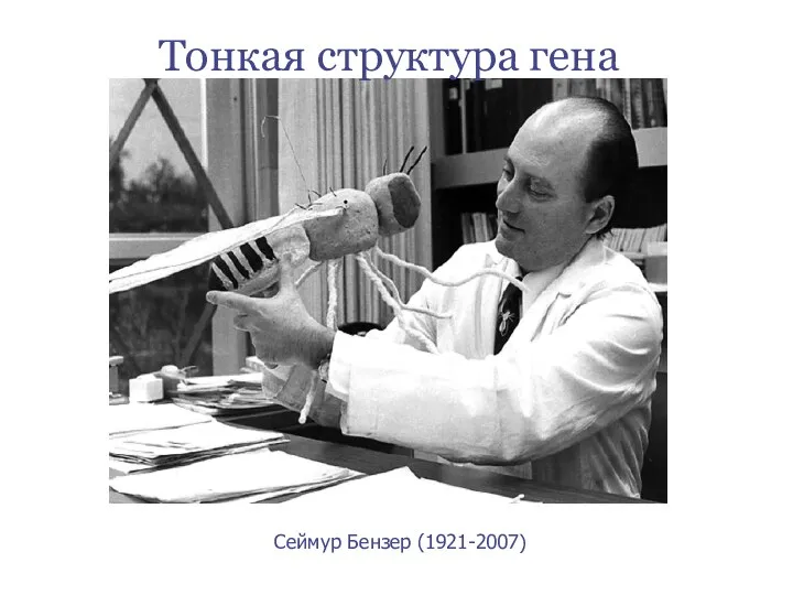 Сеймур Бензер (1921-2007) Тонкая структура гена