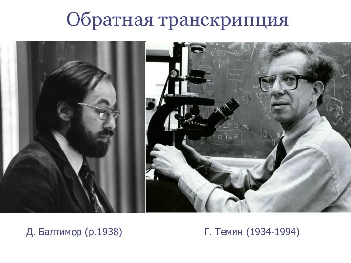 Д. Балтимор (р.1938) Г. Темин (1934-1994) Обратная транскрипция