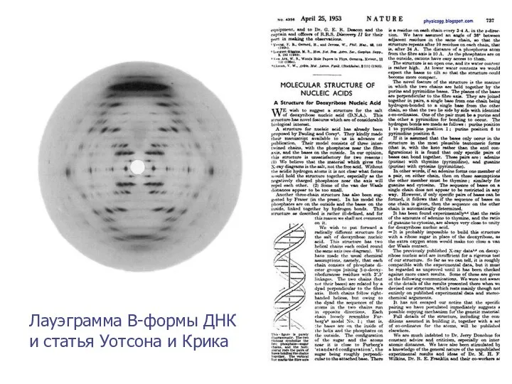 Лауэграмма В-формы ДНК и статья Уотсона и Крика