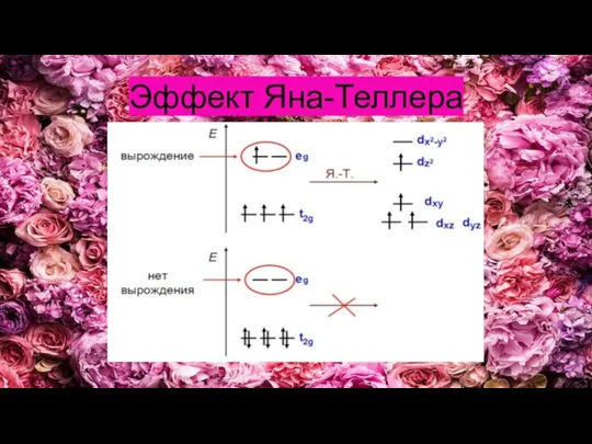 Эффект Яна-Теллера